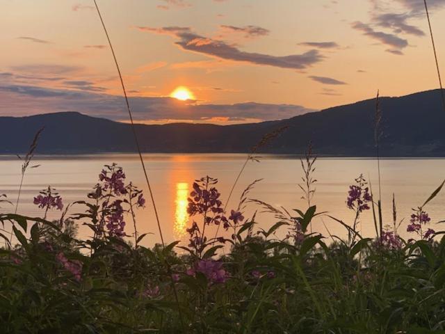 Bed And Breakfast Nordic Horn Brostadbotn Bagian luar foto