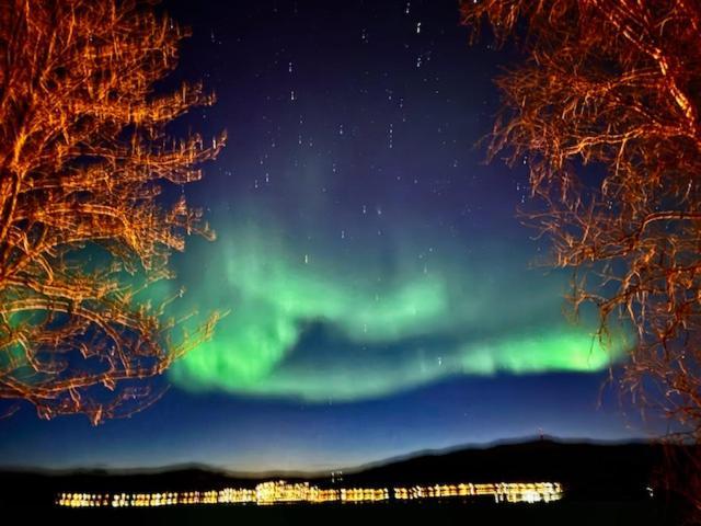 Bed And Breakfast Nordic Horn Brostadbotn Bagian luar foto